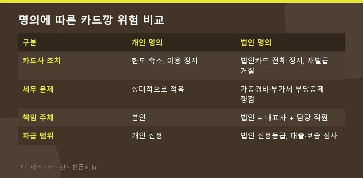 명의에 따른 카드깡 위험 비교
