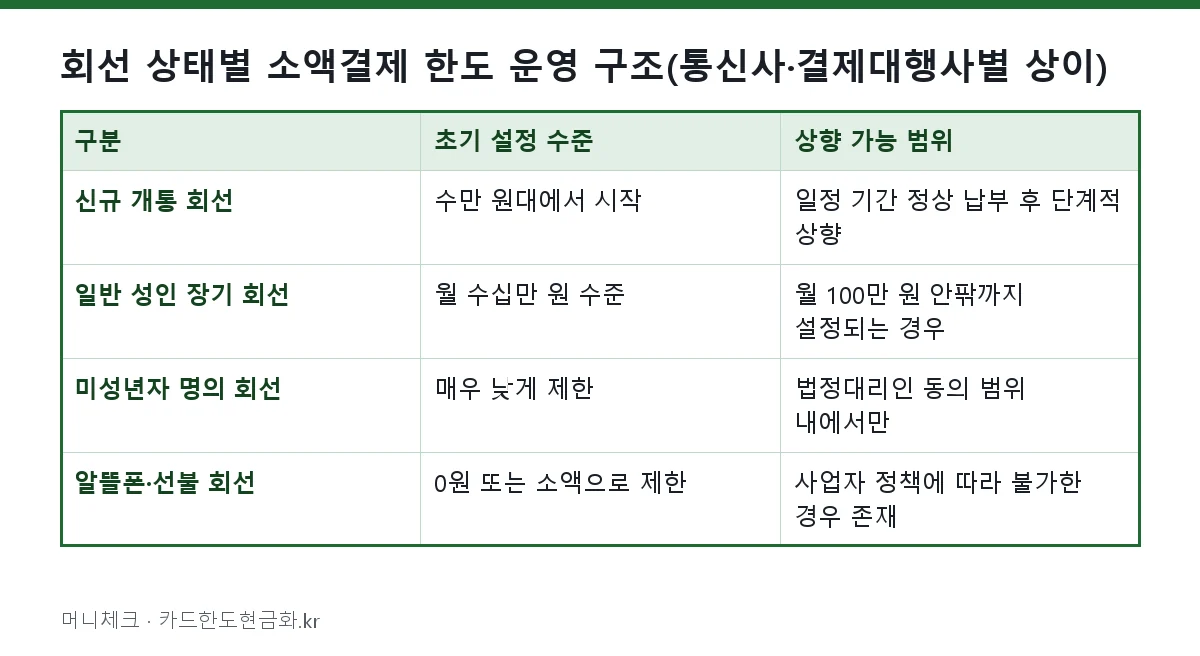 회선 상태별 소액결제 한도 운영 구조(통신사·결제대행사별 상이)