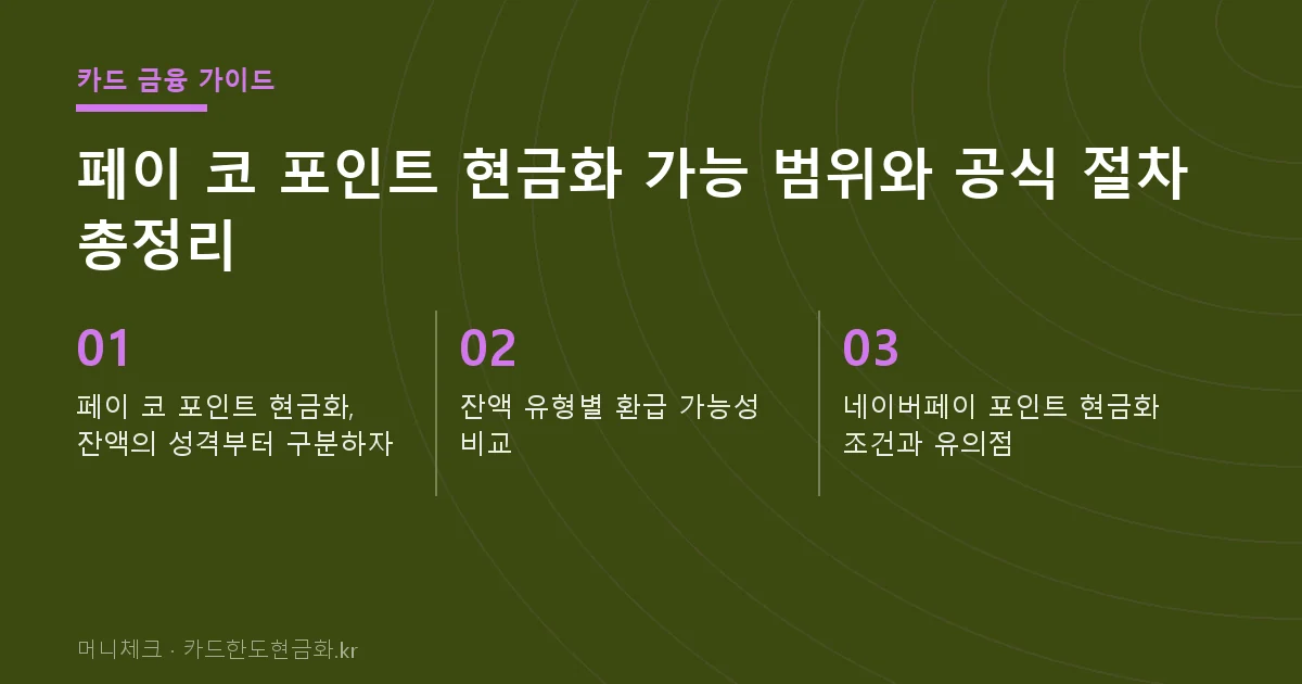 페이 코 포인트 현금화 가능 범위와 공식 절차 총정리 핵심 요약